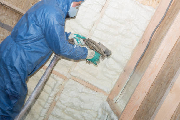 Best Reflective Insulation  in Wailea, HI